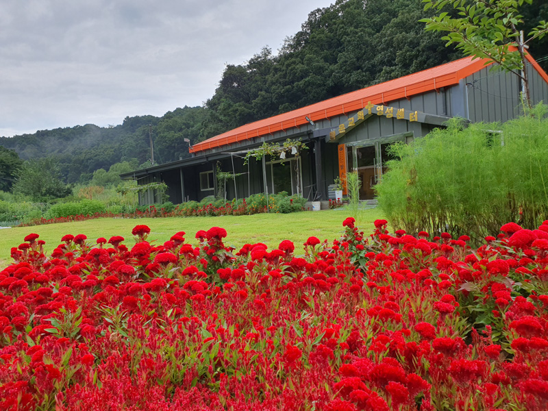 추가-첫번째 전경